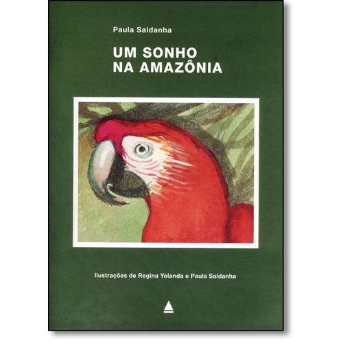 Tamanhos, Medidas e Dimensões do produto Sonho na Amazônia, um