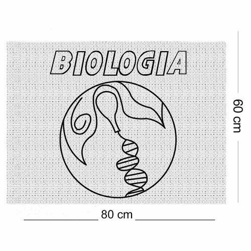 Tamanhos, Medidas e Dimensões do produto Tecido Algodão Cru Riscado 80x60cm Símbolo Biologia