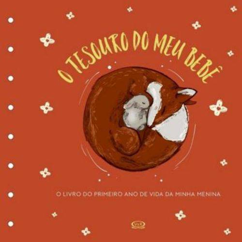 Tamanhos, Medidas e Dimensões do produto Tesouro do Meu Bebe - o Livro de Recordacoes - Capa Laranja