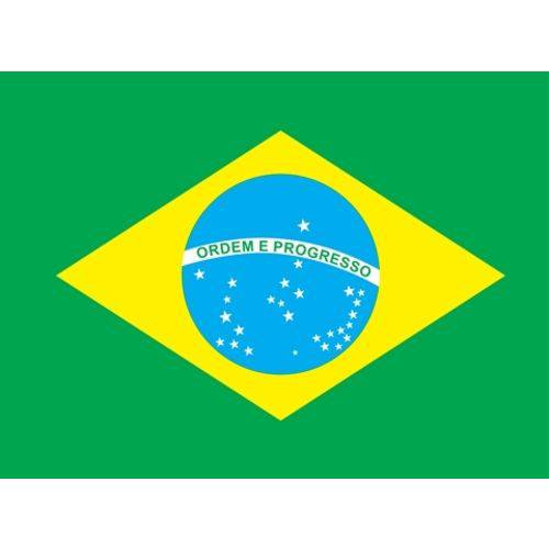 Tamanhos, Medidas e Dimensões do produto TNT por Metro Bandeira do Brasil P/ Festas (1,40m Largura)