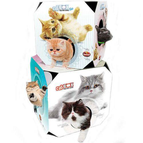 Tamanhos, Medidas e Dimensões do produto Tunel Gato Cat Box Grande