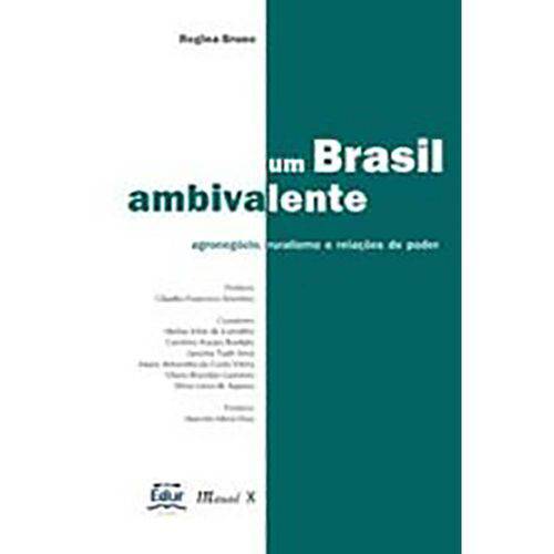 Tamanhos, Medidas e Dimensões do produto Um Brasil Ambivalente - Mauad