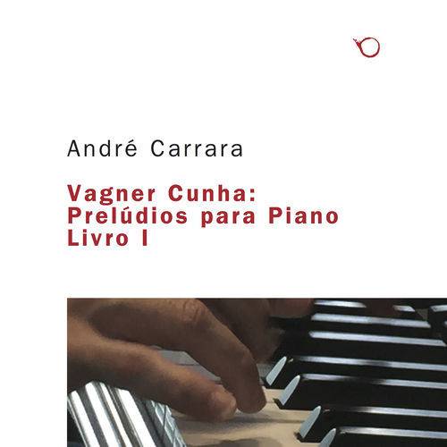 Tamanhos, Medidas e Dimensões do produto Vagner Cunha e André Carrara - Prelúdios para Piano Livro 1