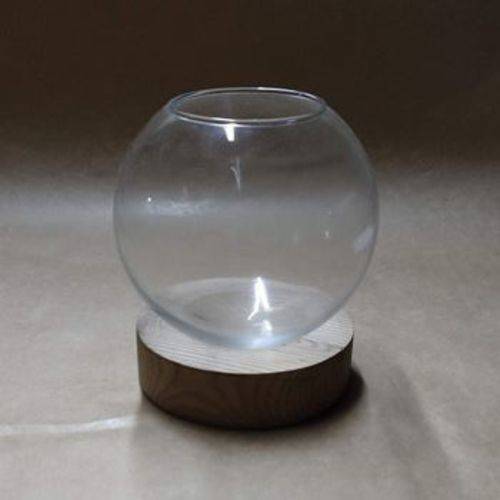 Tamanhos, Medidas e Dimensões do produto Vaso de Vidro Bola com Base de Madeira para Terrário