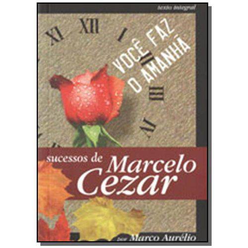 Tamanhos, Medidas e Dimensões do produto Voce Faz o Amanha - Bolso