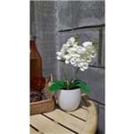 Arranjo de Orquideas Artificiais Pequeno - Vaso Branco - Flores Artificiais