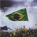 Bandeira do Brasil em Cetim Estampado - 1,50m de Largura
