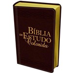 Bíblia de Estudo Colorida - Rosa