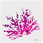 CD Diversos - Coletânea OI Fm - Volume 1