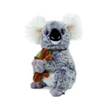 Koala de Pelucia Kyle