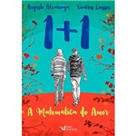 Livro - 1 + 1 a Matemática do Amor