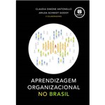 Livro - Aprendizagem Organizacional no Brasil