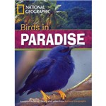 Livro - Birds In Paradise