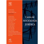 Livro - Curso de Sociologia Jurídica
