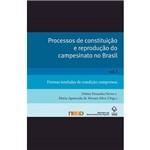 Livro - Processos de Constituição e Reprodução do Campesinato no Brasil