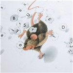 Livro - Ratinho e o Alfabeto, o - Série Ratinho
