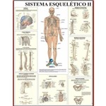 Mapa do Corpo Humano Sistema Esqueleto II 120x90 Cm