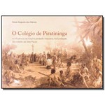 O Colégio de Piratininga - a Influência da Espiritualidade Inaciana na Fundação da Cidade de São Paulo