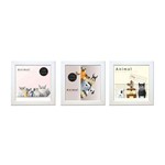 Quadros Decorativos com Moldura Bebê Animal- Kit de 3- K-101