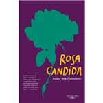 Rosa Candida - 1ª Ed.