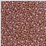 Tecido Estampado para Patchwork - Floral Negativo Positivo 15 (0,50x1,40)