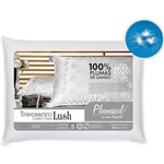 Travesseiro Lush 50x70 Branco